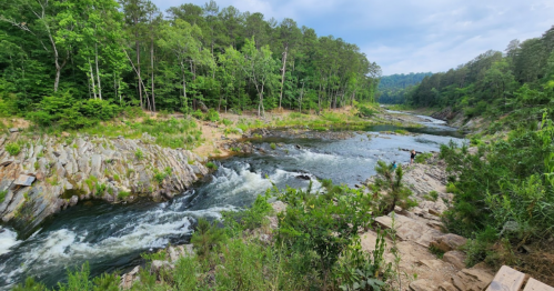 A scenic river flows through a lush green landscape, surrounded by trees and rocky banks under a cloudy sky.
