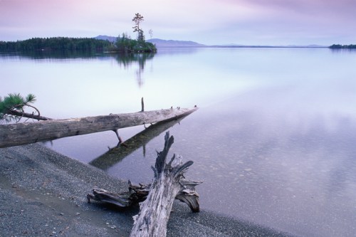 Serene lake scene at dawn, featuring calm waters, a distant island, and driftwood on the shore.