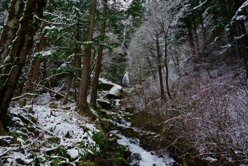 A serene winter scene with a flowing stream, snow-covered trees, and a waterfall in a lush forest.