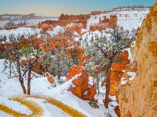 Snow-covered red rock formations and trees in a canyon landscape, with a clear sky in the background.