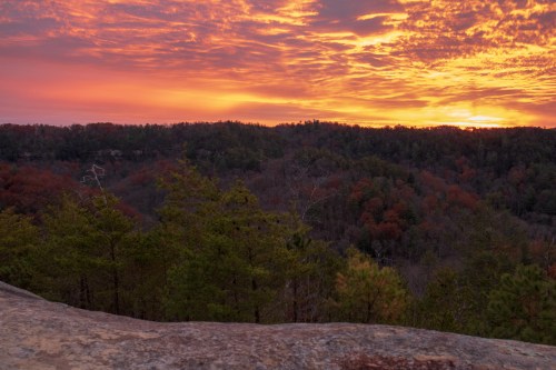 A vibrant sunset over a forested landscape, with colorful clouds and autumn foliage in the foreground.