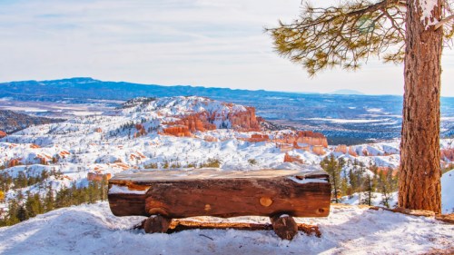 A wooden bench overlooks a snowy landscape with red rock formations and pine trees under a clear sky.