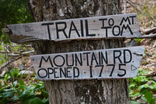 Two wooden signs on a tree: one points to "Trail to Mt. Tom," and the other indicates "Mountain Rd. Opened 1775."