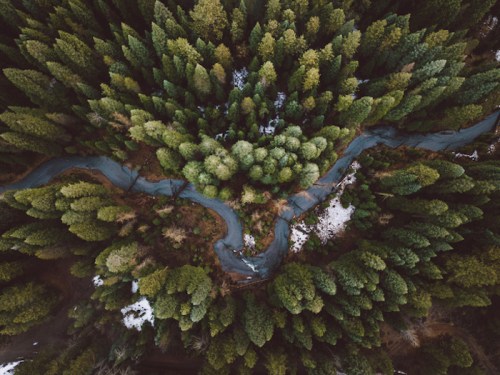 Aerial view of a winding road through a dense forest of green trees, with patches of snow visible on the ground.