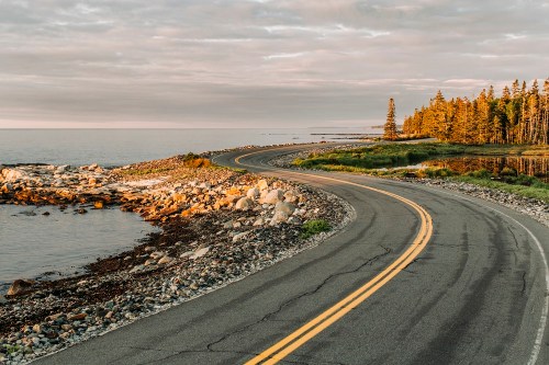 A winding coastal road curves along a rocky shoreline, with trees and calm water under a cloudy sky.