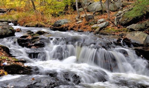 A serene stream flows over rocks, surrounded by autumn foliage and trees, creating a peaceful natural scene.