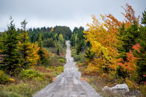 A gravel road winds through a forest with vibrant autumn foliage and a cloudy sky in the background.