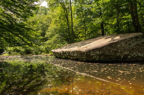 A large rock sits by a calm, reflective pond surrounded by lush green trees and scattered leaves.