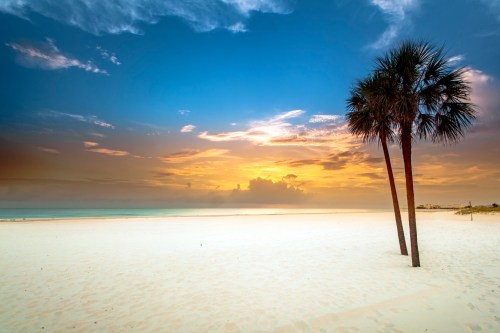 A serene beach at sunset, featuring soft white sand, a vibrant sky, and a silhouette of palm trees.