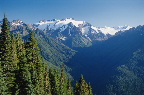 A panoramic view of snow-capped mountains surrounded by lush green forests under a clear blue sky.