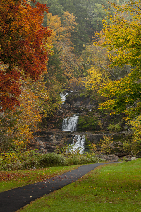 A serene landscape featuring a waterfall surrounded by colorful autumn foliage and a winding path.