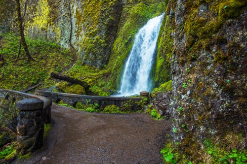 A serene waterfall cascades down moss-covered rocks, surrounded by lush greenery and a winding path.