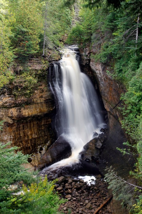 A serene waterfall cascades down rocky cliffs, surrounded by lush green trees and a tranquil forest setting.