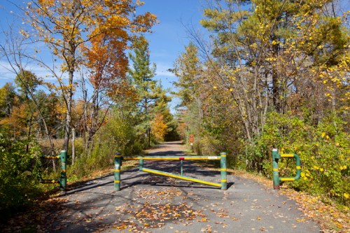 A closed gate on a tree-lined path, surrounded by colorful autumn foliage under a clear blue sky.