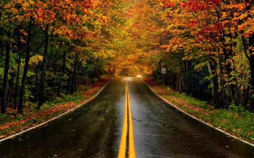 A winding road through a vibrant autumn forest, with colorful leaves and a soft glow in the distance.