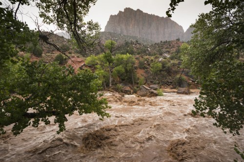 A rushing river flows through a lush landscape, framed by green trees and a rocky mountain in the background.