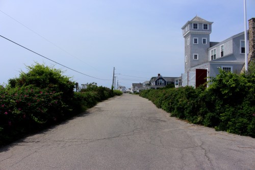 A quiet road lined with greenery, leading to coastal houses and a tall, gray tower in the distance.
