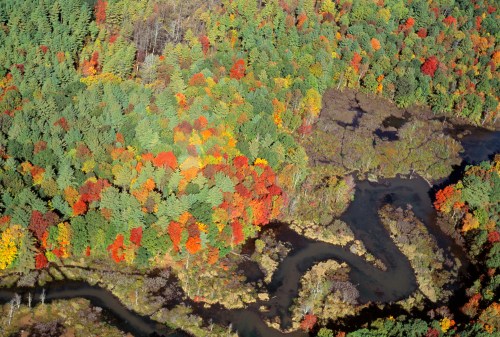 Aerial view of a vibrant autumn forest with colorful foliage and a winding river through the landscape.