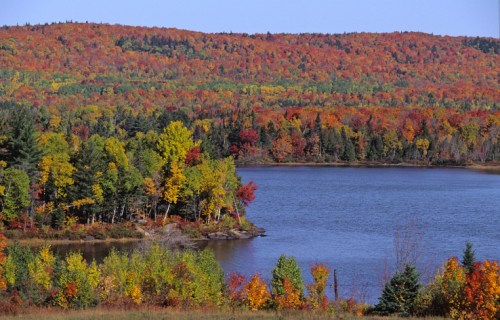 A vibrant autumn landscape featuring colorful trees reflecting in a calm lake under a clear blue sky.