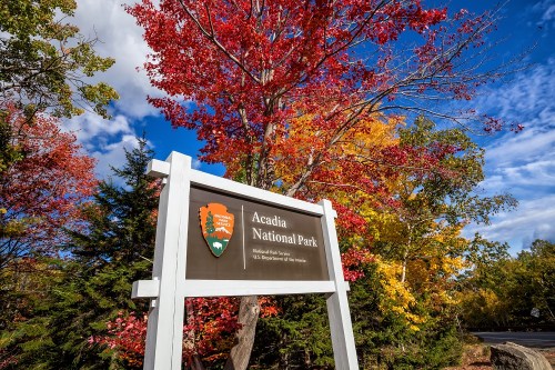 Sign for Acadia National Park surrounded by vibrant autumn foliage and a clear blue sky.