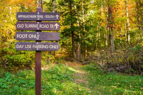 Wooden signpost with directional arrows for hiking trails in a colorful autumn forest.