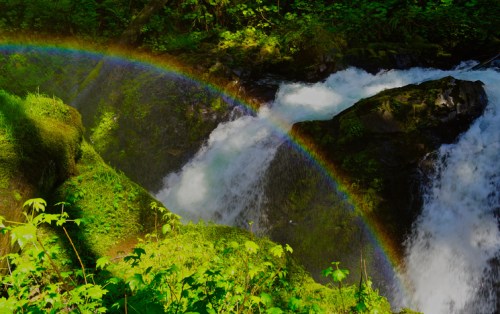 A vibrant rainbow arches over a rushing waterfall surrounded by lush greenery.