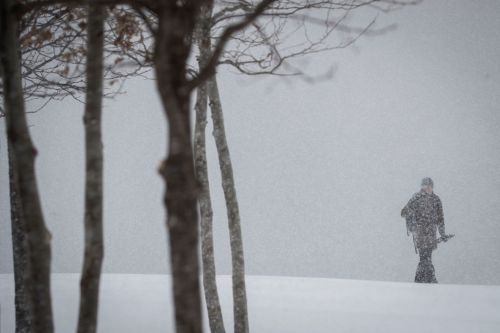 A person walks through a snowy landscape, surrounded by bare trees, with heavy snowfall obscuring the background.