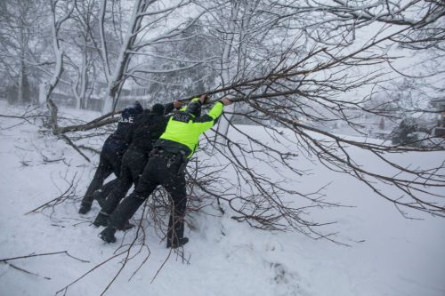 Three individuals in winter gear push a fallen tree branch in a snowy landscape during a snowstorm.