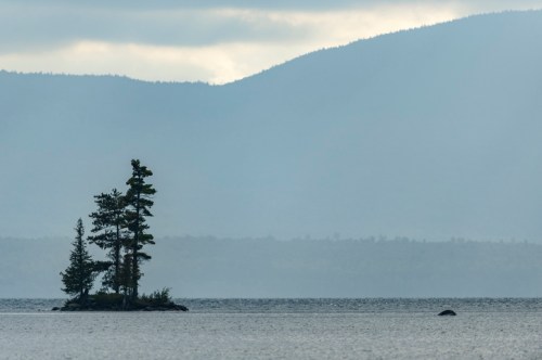 A small island with a few trees in a calm lake, surrounded by misty mountains and a cloudy sky.
