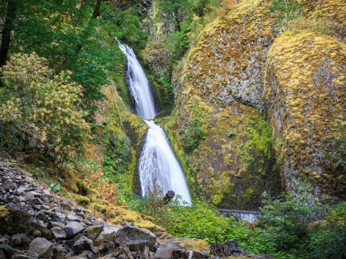 A serene waterfall cascades down moss-covered rocks, surrounded by lush greenery and vibrant autumn foliage.