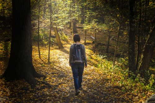 A person walks along a sunlit forest path covered in autumn leaves, surrounded by trees.