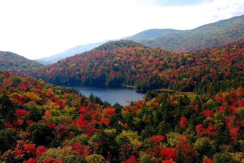 A vibrant autumn landscape featuring colorful trees surrounding a serene lake, with mountains in the background.