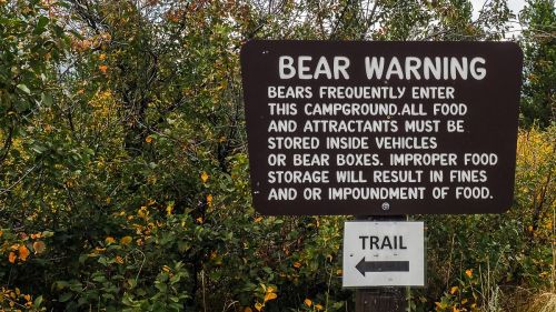 Sign warning about bears in a campground, stating food must be stored properly to avoid fines and food loss. Arrow points to trail.