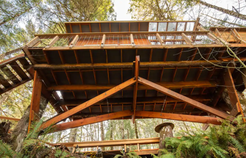 A wooden treehouse elevated among tall trees, featuring a spacious deck and rustic architecture.
