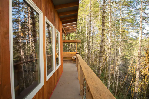 A wooden balcony overlooks a forest of tall trees, with large windows reflecting the natural surroundings.