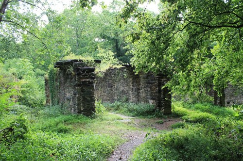 Ruins of a stone structure surrounded by lush greenery and trees, with a path leading through the overgrown area.