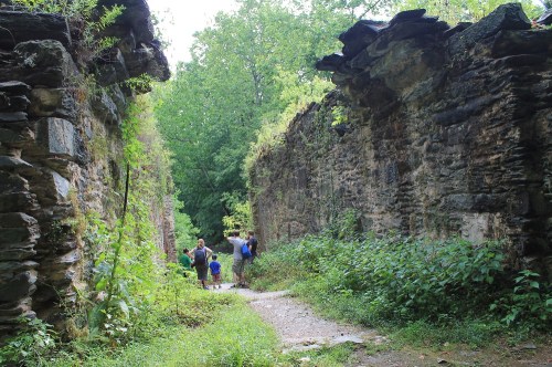 Two people walk through overgrown stone ruins, surrounded by lush greenery and trees in a serene outdoor setting.