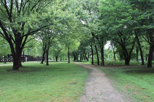 A serene park scene with a grassy path surrounded by lush green trees on either side.