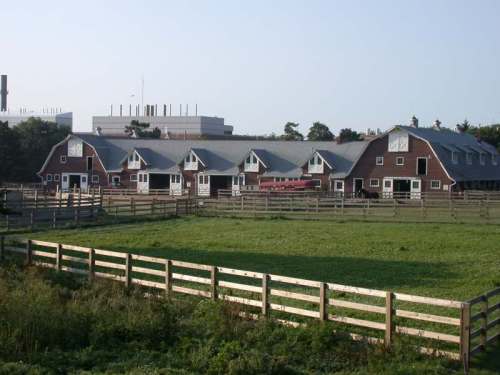 A red barn with multiple stalls, surrounded by a green pasture and wooden fencing, under a clear blue sky.