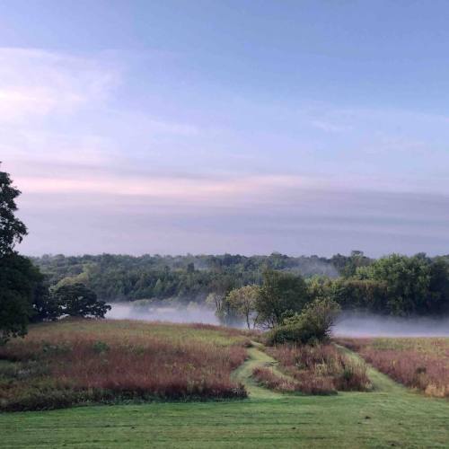 A serene landscape with mist over a field, trees in the background, and a soft blue sky at dawn.