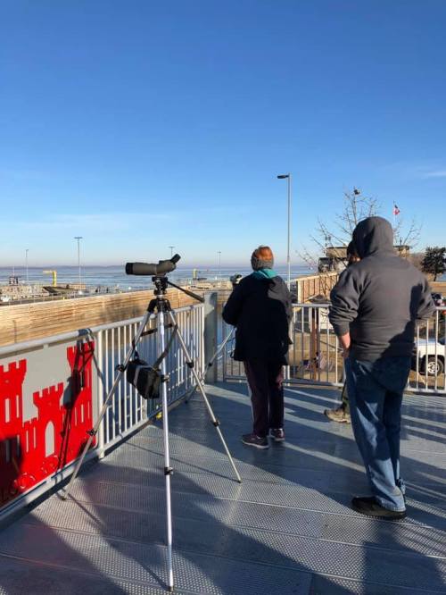 Two people stand on a viewing platform, looking out at the water through a telescope on a clear day.