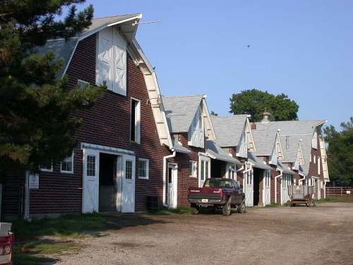 Row of rustic barns with white doors and a gravel path, surrounded by trees and clear blue sky.
