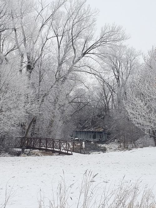 A snowy landscape with frosted trees and a wooden bridge over a creek, creating a serene winter scene.