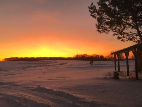 A serene winter landscape at sunset, with vibrant orange skies and snow-covered fields under a silhouetted tree.