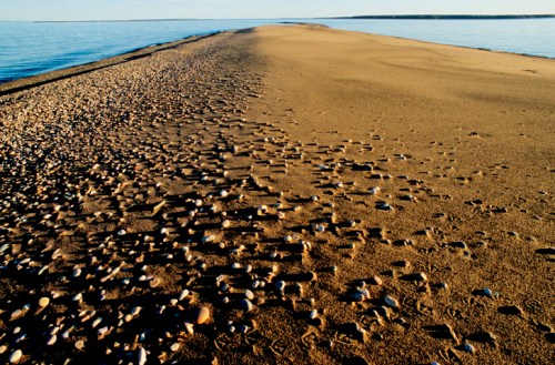 A sandy beach path lined with small shells, leading towards calm water under a clear sky.