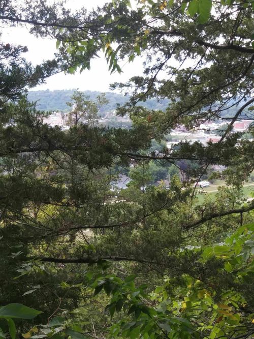 A view of a town through green trees, showcasing buildings and greenery in the distance.