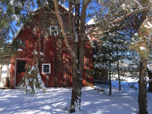 A red barn surrounded by snow-covered trees on a sunny winter day.