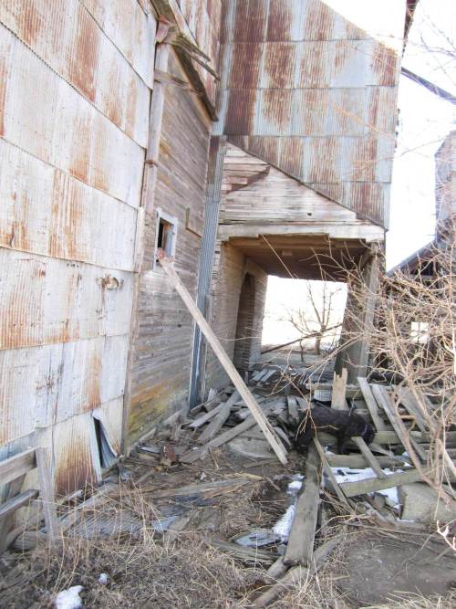 An abandoned building with rusted metal siding, broken wooden beams, and overgrown vegetation surrounding it.