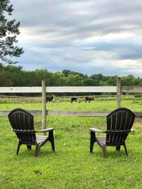 Two black Adirondack chairs facing a wooden fence, with horses grazing in a green field under a cloudy sky.