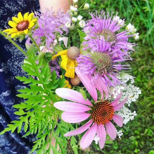 A vibrant bouquet of wildflowers, including purple, yellow, and pink blooms, held against a green background.